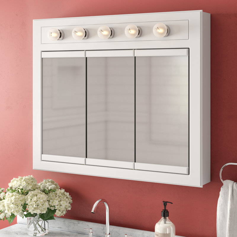 Winston Porter Searle Surface Mount Framed 3 Doors Medicine